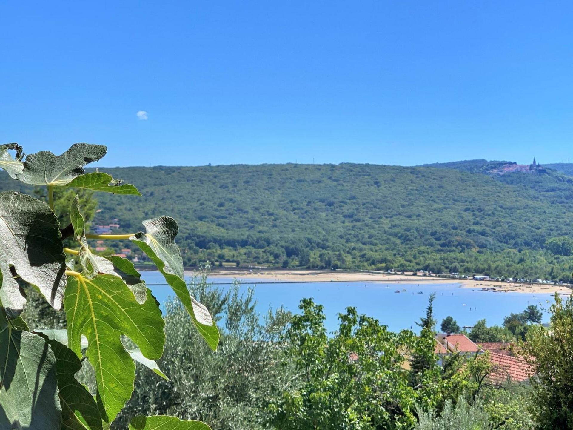 Guest house Santic 3*